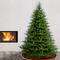 7.5ft. Unlit Norway Fir Artificial Christmas Tree